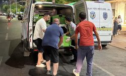 İsveçli turist Alanya'da otel odasında ölü bulundu!