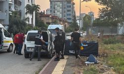 Alacak verecek kavgası kanlı bitti: Baba ve oğlu öldü, anne ağır yaralı!