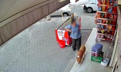 İzmir’de pitbull saldırısı: 5 çocuk annesi kadının parmağı koptu