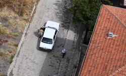 Polisten kaçtı, Drone'dan kaçamadı! Yolcuyla yer değiştiren ehliyetsiz sürücüye ceza yağdı