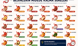 Hangi besin midede ne kadar kalıyor?