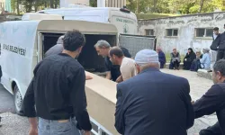 Kene ısırığı can almaya devam ediyor: Sivas'ta 13. acı kayıp