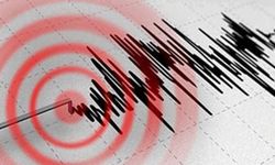 Kolombiya 7.2 ve 7.5 büyüklüğünde peş peşe büyük depremle sallandı