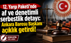 12. Yargı Paketi'nde af ve denetimli serbestlik detayı: Ankara Barosu Başkanı açıklık getirdi!