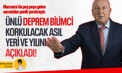 Marmara'da peş peşe gelen sarsıntılar panik yaratmıştı: Ünlü Deprem Bilimci korkulacak asıl yeri ve yılını açıkladı!