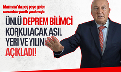 Marmara'da peş peşe gelen sarsıntılar panik yaratmıştı: Ünlü Deprem Bilimci korkulacak asıl yeri ve yılını açıkladı!