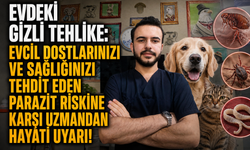 Evdeki gizli tehlike: Evcil dostlarınızı ve sağlığınızı tehdit eden parazit riskine karşı uzmanından hayati uyarı!