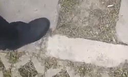 İzmir’de taksicilerden para talebi iddiası! Oda görüntüleri tartışma yarattı