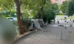 Bakırköy'de kedi kavgası! 'Çekil' tartışması kameralara yansıdı