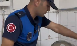 Gaziantep’te böceklerin gezdiği fırında zabıta denetimi: “İki böcekten ne olacak ya!”