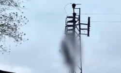 Hatay'da korkunç olay! Elektrik direğinde erkek cesedi bulundu