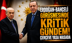 Erdoğan-Bahçeli görüşmesinde kritik gündem! Çerçeve yasa masada
