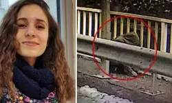 Gülistan Doku soruşturmasında dikkat çeken ayrıntı: 8 gün sonra aynı bölgeye gitmiş