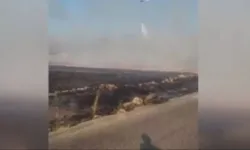 Haymana’da otluk alanda yangın! Alevlerden kaçan hayvanlar böyle görüntülendi