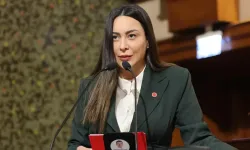 “Şapkalılar” soruşturmasında CHP’li avukat gözaltında