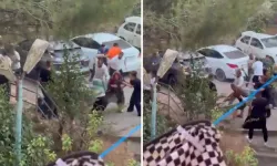 Köpeğini gezdiren küçük kız bıçakladı, annesinin kolunu kırdı!