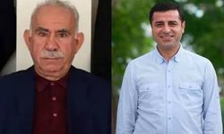Çerçeve yasa teröristbaşı Öcalan ve Demirtaş'ı kapsayacak mı? Cumhurbaşkanı yardımcısı açıkladı