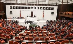 Meclis'teki 'çerçeve yasa' tartışmasına DEM Parti'den 'barış' vurgusu: "Yalnız yasayla gelez"