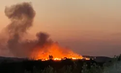 Orman yangını paniği: Alevler 7 saatlik mücadelenin ardından söndürüldü!