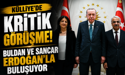 Külliye’de kritik görüşme! Buldan ve Sancar Erdoğan’la buluşuyor