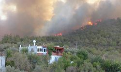 Manzarası güzel ama riski büyük olabilir! Ormana yakın evlere dikkat