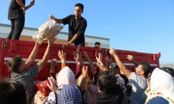 Geçen yıl zararına dağıtmıştı!  22 yaşındaki çiftçiden örnek hareket