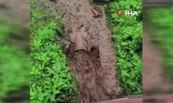 Şiddetli yağış Rize'yi vurdu: 42 köyde heyelan