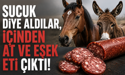 Sucuk diye aldılar, içinden at ve eşek eti çıktı!