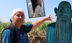 Mahallede “Gulyabani” paniği! Geceleri ortaya çıkıyor, evleri hedef alıp kaçıyor