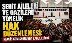 Şehit aileleri ve gazilere yönelik hak düzenlemesi: Meclis komisyonunda kabul edildi