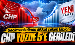 Seçim anketinde dikkat çeken tablo! CHP yüzde 5'e geriledi
