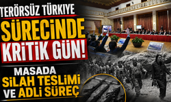 Terörsüz Türkiye sürecinde kritik gün! Masada silah teslimi ve adli süreç var