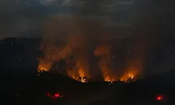 Ankara'da alarm veren tablo! 2 ayda 2 bin 242 yangın