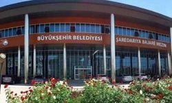 Kayyum yönetiminden yeni satış kararı: Van’da 29 taşınmaz ihaleye çıkıyor