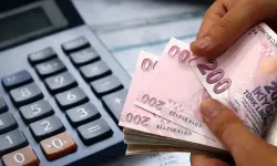 Türkiye vergi rekortmenleri açıklandı: Zirvede Bayraktar kardeşler ve Rahmi Koç yer aldı