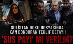 Gülistan Doku soruşturmasında kan donduran teklif! 'Sus payı' mı verildi?