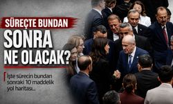 Süreçte bundan sonra ne olacak? İşte sürecin bundan sonraki 10 maddelik yol haritası