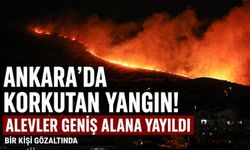 Ankara'da ağaçlık alanda çıkan yangın geniş alana yayıldı!