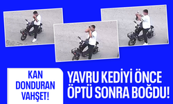 Önce öptü, sonra boğdu! Savunmasız kediyi öldürdüğü anlar kamerada