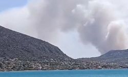 Yunanistan Salamina Adası'ndaki orman yangınında 2 kişi hayatını kaybetti!