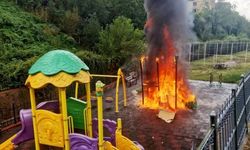 Zonguldak’ta ‘üşüdüklerini’ söyleyen çocuklar park kaydırağını ateşe verdi