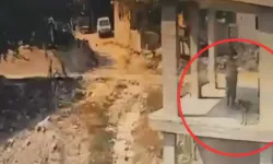 Adana’da sopayla köpeğin belini kıran cani “Tavuklarıma saldırdı” diyerek kendini savundu