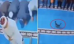 Camideki görüntü sosyal medyada infiale neden olmuştu! Kediyi tekmeleyen şüpheli serbest!