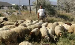 80 bin TL maaşa çalışacak kimseyi bulamıyor!