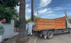 Kötü koku ekipleri harekete geçirdi! Marmaris'teki çöp evden bir kamyon çöp ve 30'a yakın kedi çıktı