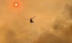 Orman yangınına müdahale ederken can verdiler!