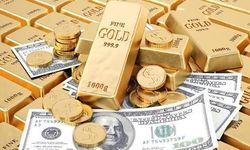 Altın mı dolar mı? 100 bin TL arasındaki fark 16 bin lirayı aştı