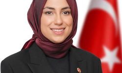 Amine Cansu Çelik kimdir? Hangi partide görev yapıyor?