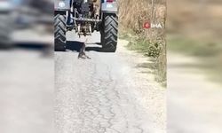 Köpeği traktöre bağlayarak sürükledi! Kahramanmaraş'taki vahşet kamerada