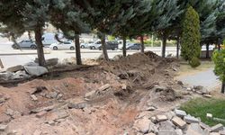 Ankara'da 40 ağaç için mahalleli ayağa kalktı: Kesim çalışması durduruldu